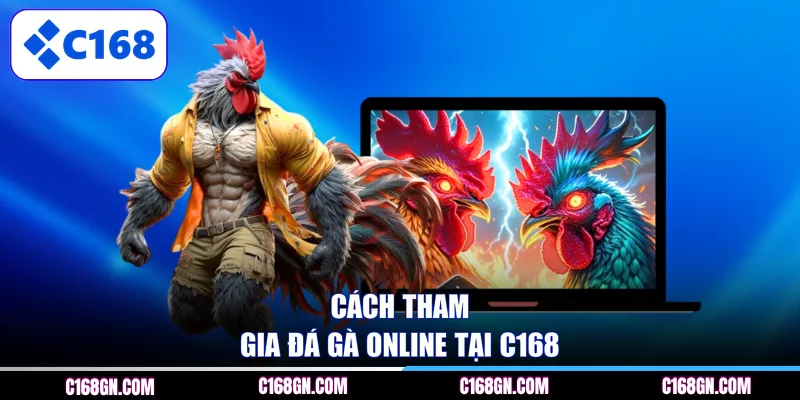Cách tham gia đá gà online tại C168