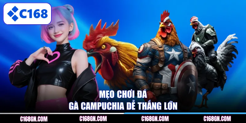 Mẹo chơi đá gà Campuchia dễ thắng lớn