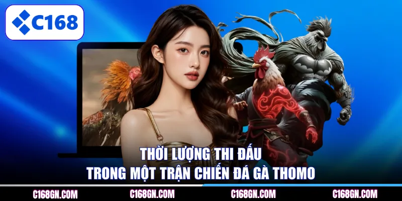 Thời lượng thi đấu trong một trận chiến đá gà Thomo